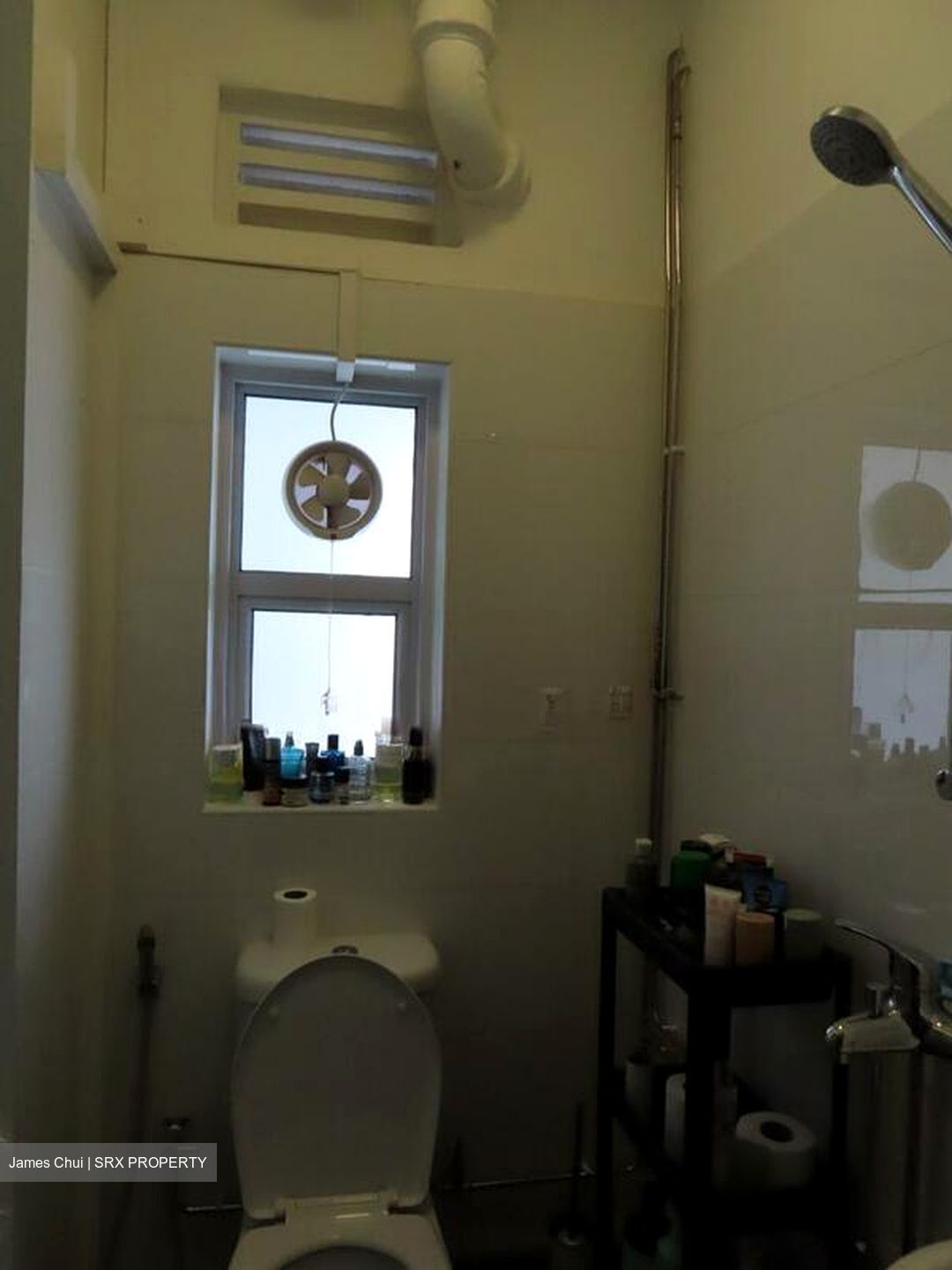 Tiong Bahru Estate (D3), Apartment #495560711